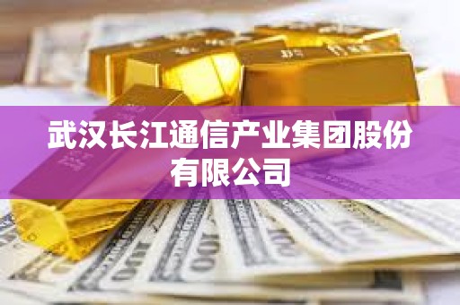 武漢長江通信產業集團股份有限公司 武漢長江通信產業集團股份有限公司