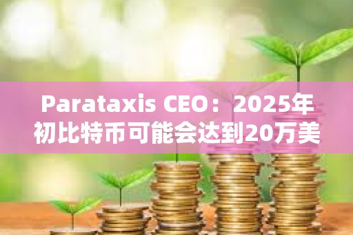 Parataxis CEO：2025年初比特幣可能會達到20萬美元