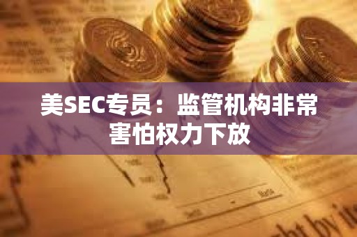 美SEC專員：監(jiān)管機構非常害怕權力下放