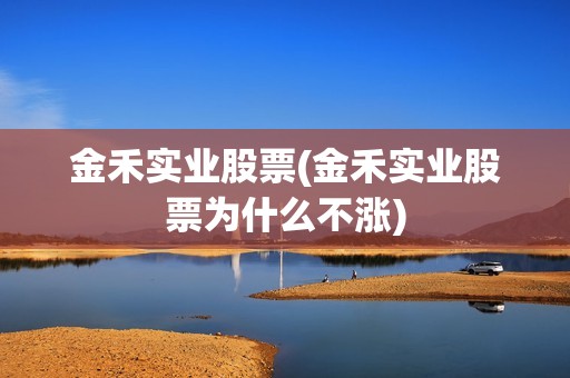 金禾實業股票(金禾實業股票為什么不漲)