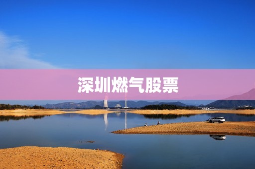 深圳燃氣股票