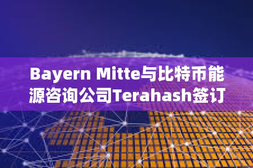Bayern Mitte與比特幣能源咨詢公司Terahash簽訂合作協議