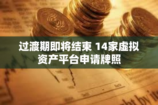 過渡期即將結束 14家虛擬資產平臺申請牌照