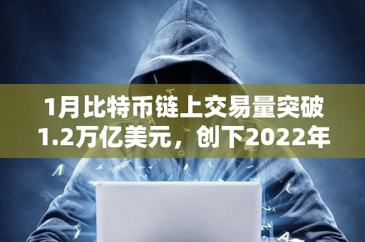 1月比特幣鏈上交易量突破1.2萬(wàn)億美元，創(chuàng)下2022年9月以來(lái)最高
