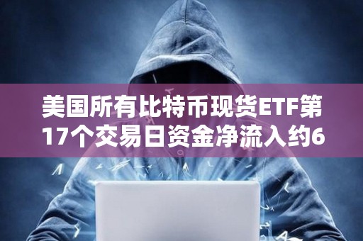 美國所有比特幣現貨ETF第17個交易日資金凈流入約6800萬美元