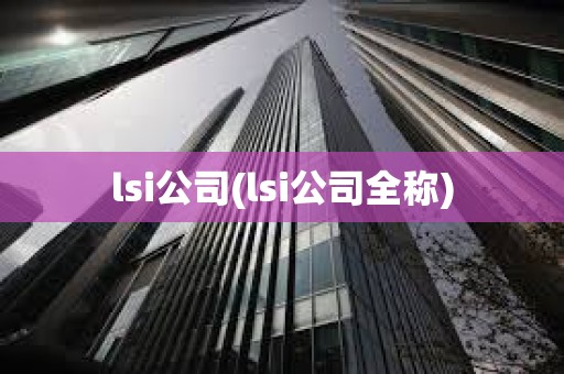 lsi公司(lsi公司全稱)