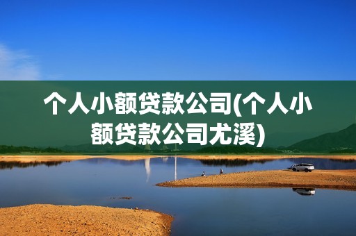 個人小額貸款公司(個人小額貸款公司尤溪)
