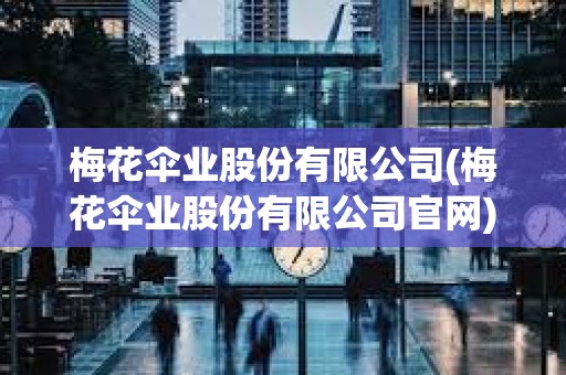梅花傘業股份有限公司(梅花傘業股份有限公司官網)