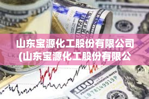 山東寶源化工股份有限公司(山東寶源化工股份有限公司準備搬遷到哪里)
