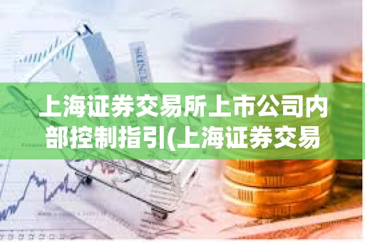 上海證券交易所上市公司內(nèi)部控制指引(上海證券交易所上市公司規(guī)范運(yùn)作指引)