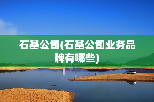 石基公司(石基公司業務品牌有哪些)