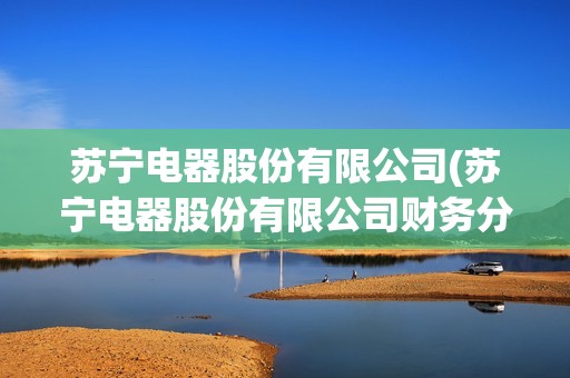 蘇寧電器股份有限公司(蘇寧電器股份有限公司財務分析論文)