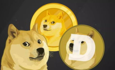 狗狗幣錢包導入老錢包文件,狗狗幣錢包app下載