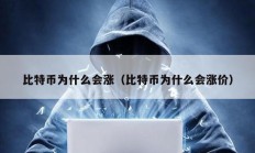 比特幣為什么會漲（比特幣為什么會漲價）