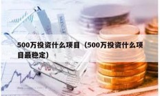 500萬(wàn)投資什么項(xiàng)目（500萬(wàn)投資什么項(xiàng)目最穩(wěn)定）