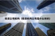 投資公司機構（投資機構公司是什么樣的）