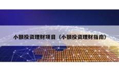 小額投資理財項目（小額投資理財指南）