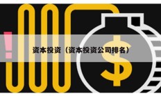 資本投資（資本投資公司排名）