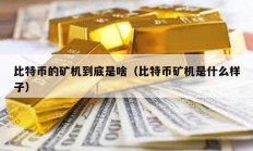 比特幣的礦機到底是啥（比特幣礦機是什么樣子）