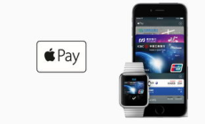 btq錢包,bac芯錢包