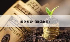 網貸紅嶺（網貸老哥）