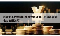 辰能哈工大高科技風險投資公司（哈爾濱辰能電力有限公司）