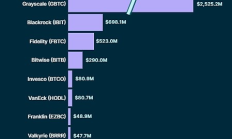 美國現貨比特幣 ETF 積累了多少資產？
