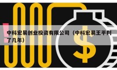 中科宏易創(chuàng)業(yè)投資有限公司（中科宏易王平判了幾年）
