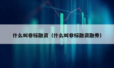 什么叫非標(biāo)融資（什么叫非標(biāo)融資融券）
