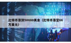 比特幣漲到50880美金（比特幣漲至66萬美元）