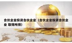 合伙企業投資合伙企業（合伙企業投資合伙企業 取得所得）