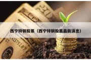 西寧特鋼股票（西寧特鋼股票最新消息）