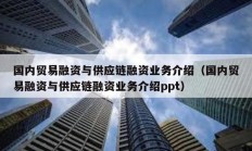 國內貿易融資與供應鏈融資業務介紹（國內貿易融資與供應鏈融資業務介紹ppt）