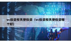 vc投資和天使投資（vc投資和天使投資哪個好）
