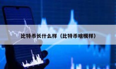 比特幣長(zhǎng)什么樣（比特幣啥模樣）