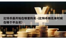 比特幣最開(kāi)始在哪里購(gòu)買（比特幣剛出來(lái)時(shí)候在哪個(gè)平臺(tái)買）