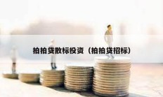 拍拍貸散標投資（拍拍貸招標）