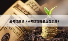 愛(ài)考拉融資（ai考拉理財(cái)最近怎么樣）