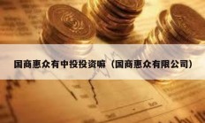 國商惠眾有中投投資嘛（國商惠眾有限公司）