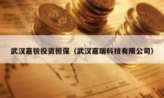 武漢嘉銳投資擔(dān)保（武漢嘉瑞科技有限公司）
