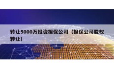 轉(zhuǎn)讓5000萬投資擔(dān)保公司（擔(dān)保公司股權(quán)轉(zhuǎn)讓）