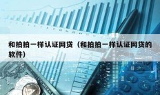 和拍拍一樣認證網貸（和拍拍一樣認證網貸的軟件）