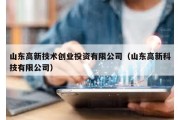 山東高新技術創業投資有限公司（山東高新科技有限公司）