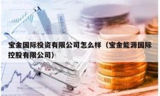 寶金國(guó)際投資有限公司怎么樣（寶金能源國(guó)際控股有限公司）