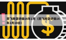 羿飛網貸評級16年1月（羿飛網貸評級16年1月10日）