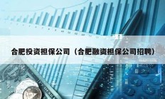 合肥投資擔(dān)保公司（合肥融資擔(dān)保公司招聘）