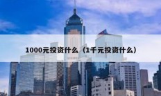 1000元投資什么（1千元投資什么）