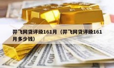 羿飛網貸評級161月（羿飛網貸評級161月多少錢）