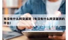 有沒有什么網貸漏洞（有沒有什么網貸漏洞的平臺）