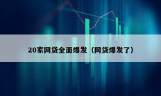 20家網貸全面爆發（網貸爆發了）